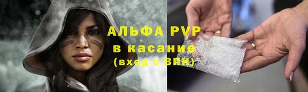 гашик Баксан