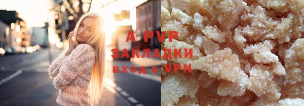гашик Баксан